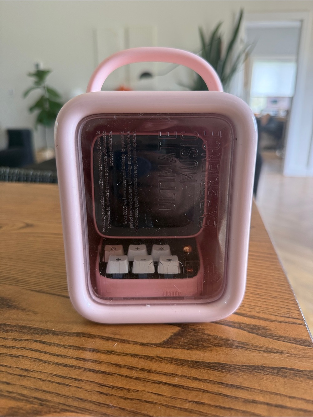 Pink Portable Bluetooth Speaker with Handle - Brand Divoom